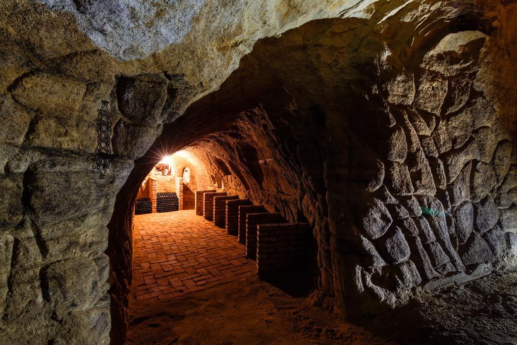 Nad Vinnym Sklipkem Znojmo Bagian luar foto