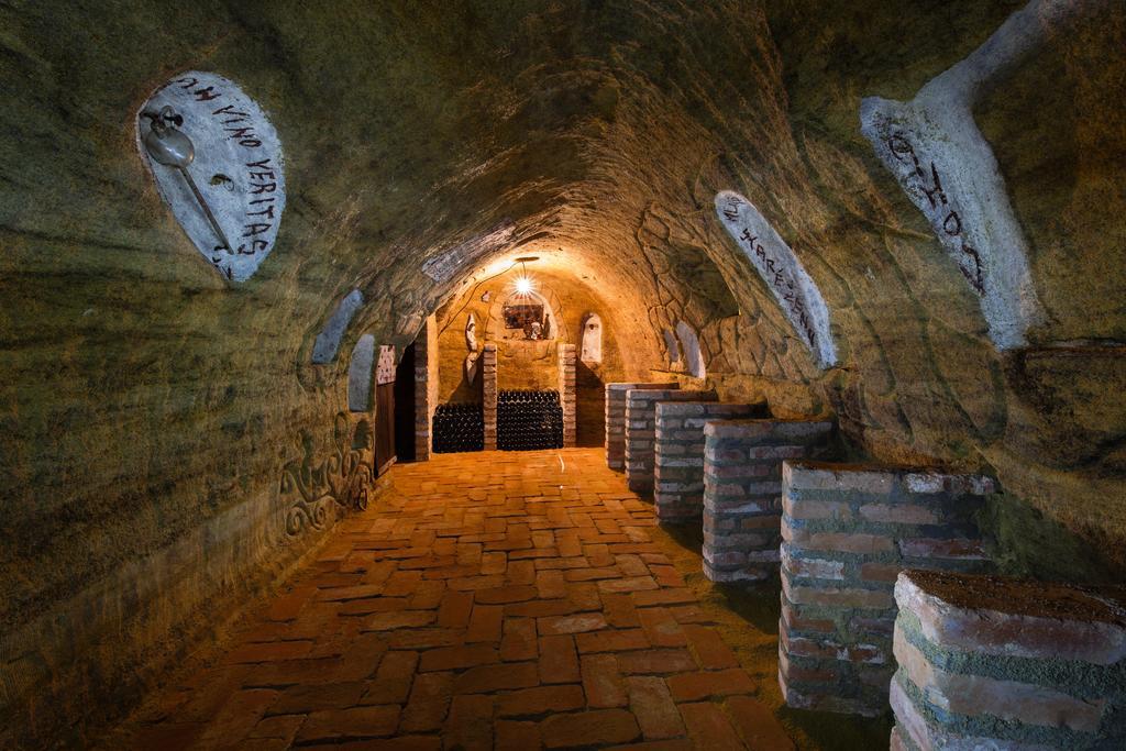 Nad Vinnym Sklipkem Znojmo Bagian luar foto